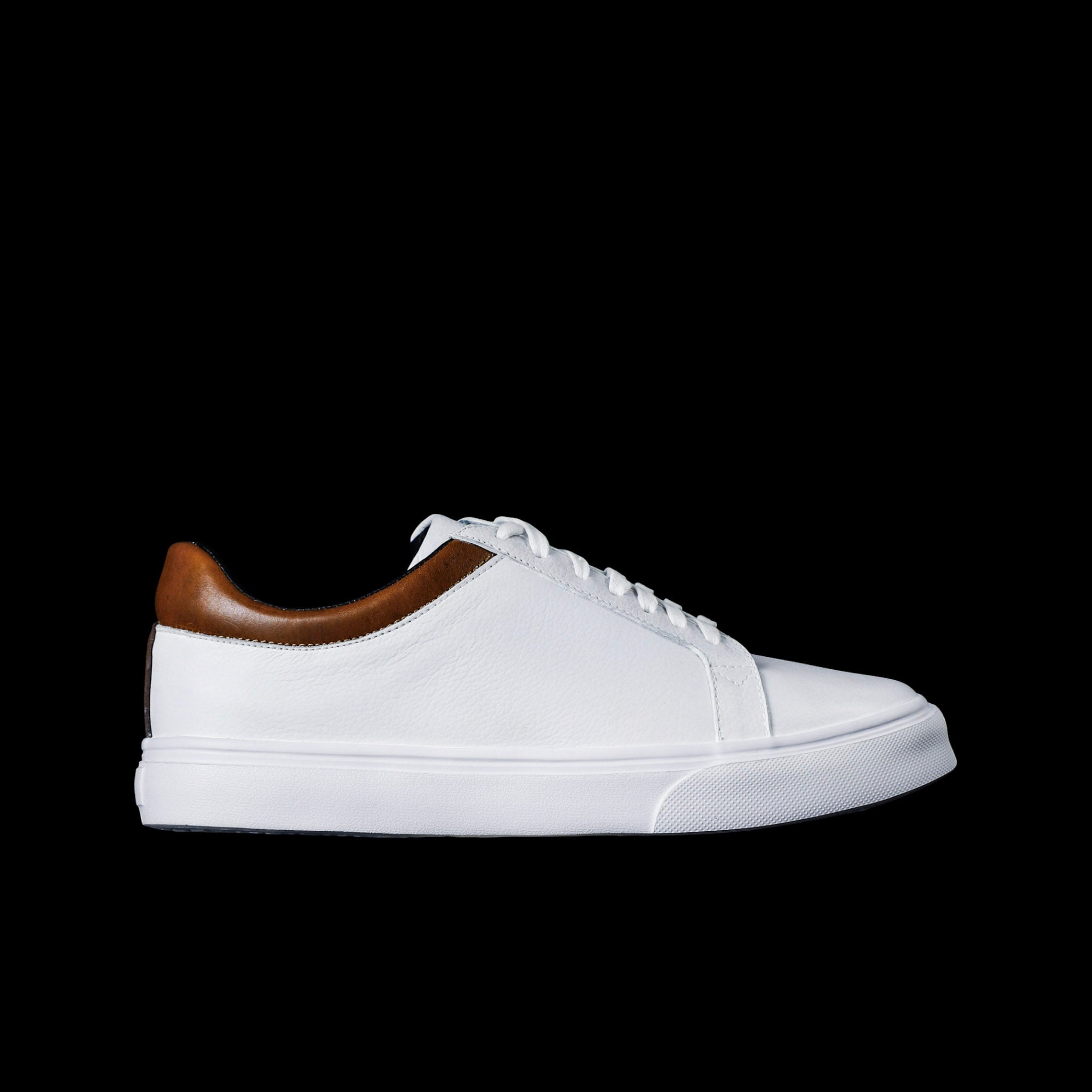 ORLEANS WHITE X HONEY