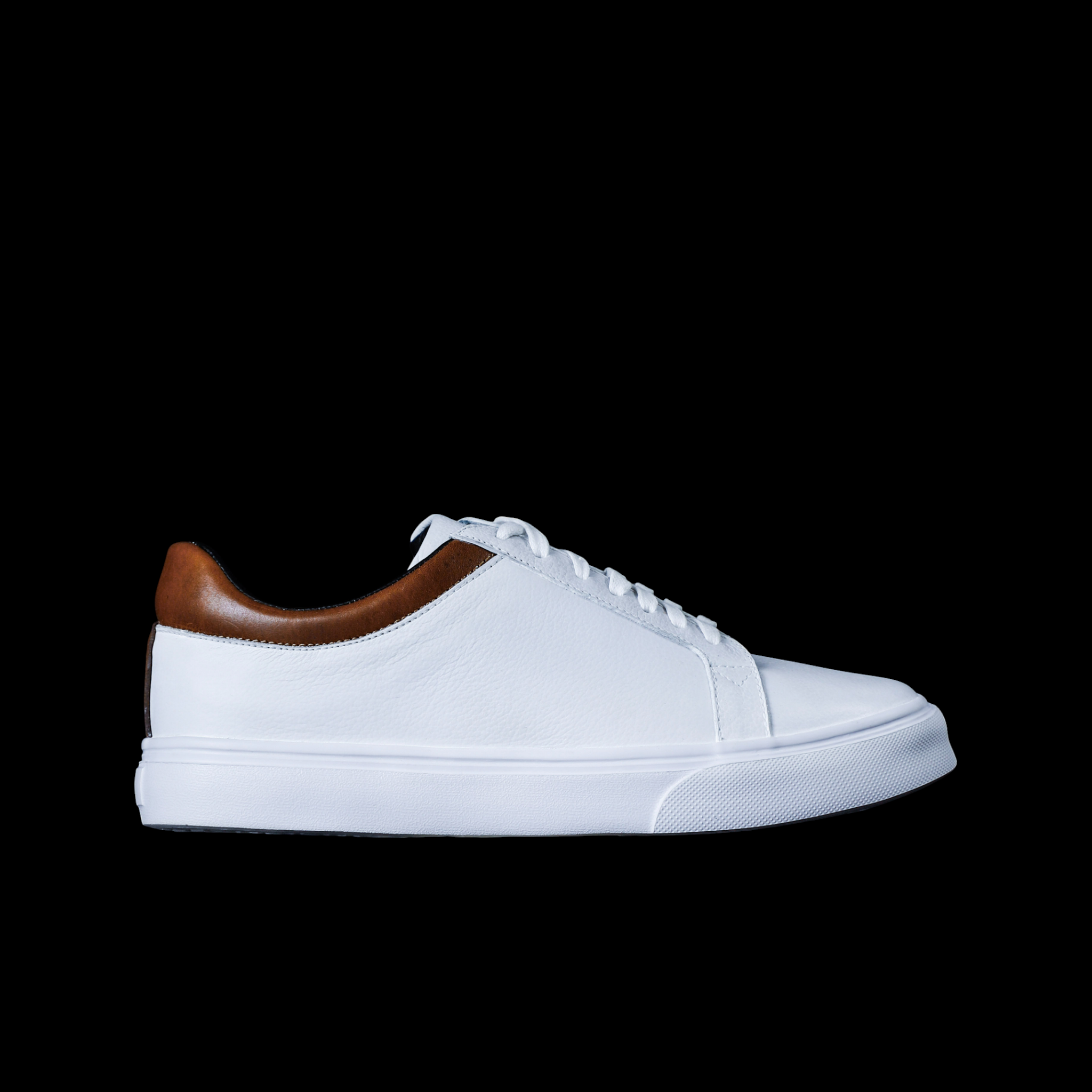 ORLEANS WHITE X HONEY