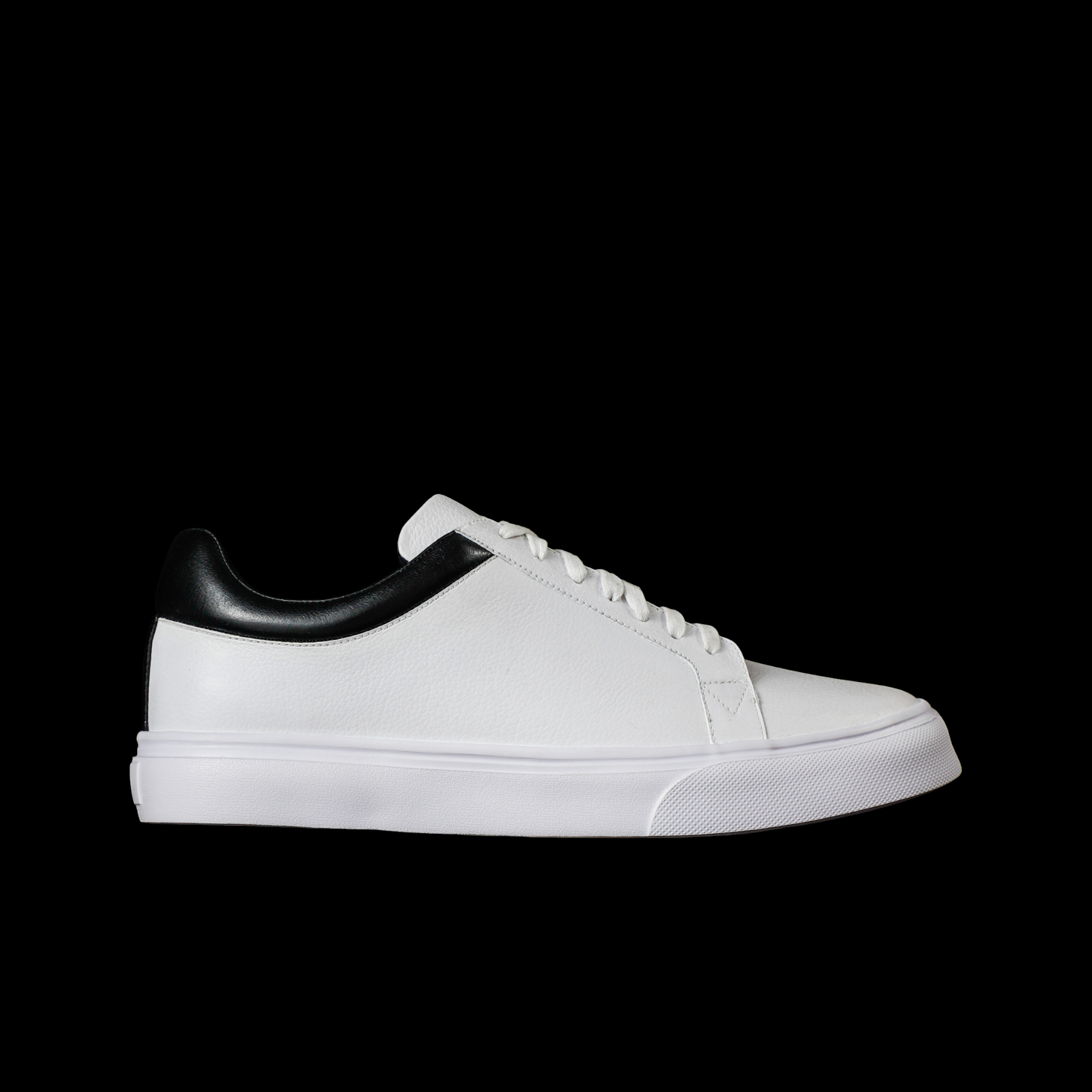 ORLEANS WHITE X GRAY