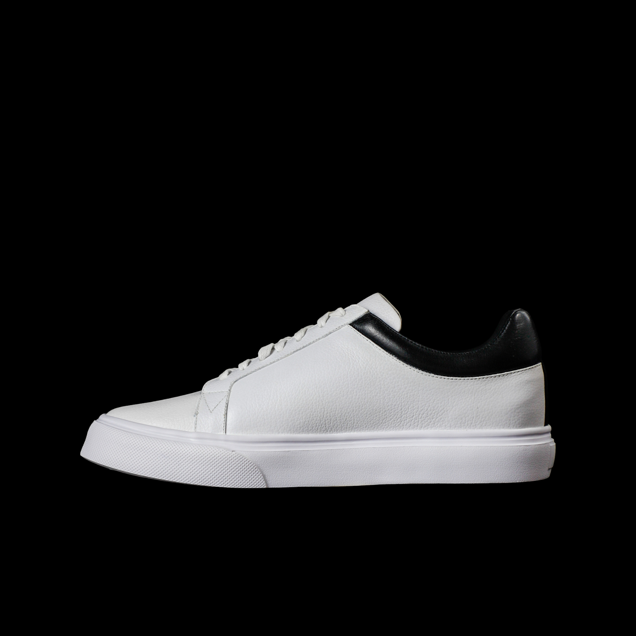 ORLEANS WHITE X GRAY